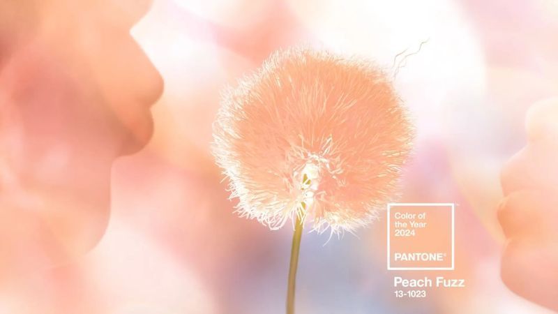 color Pantone